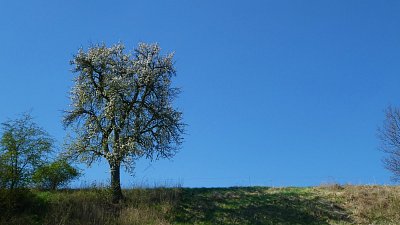 p1080546-1.jpg