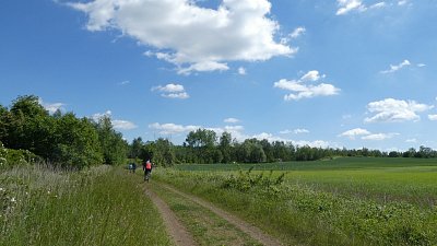 p1090036.jpg