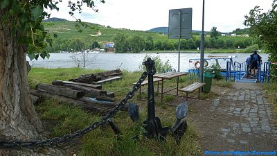 p1090902.jpg