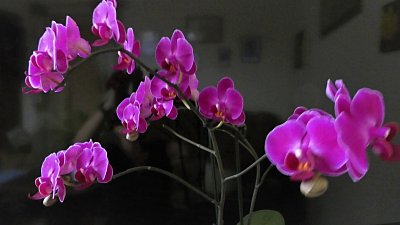 p1110062-1.jpg