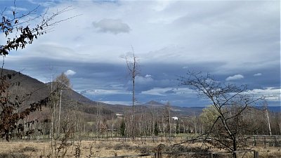 p1110700-1.jpg