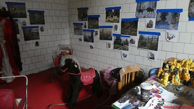 p1150430.jpg