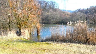 Štěpánský rybník