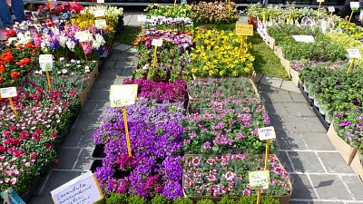 p1200366-1.jpg