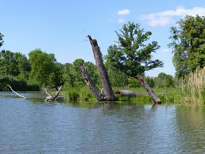 p1260251.jpg