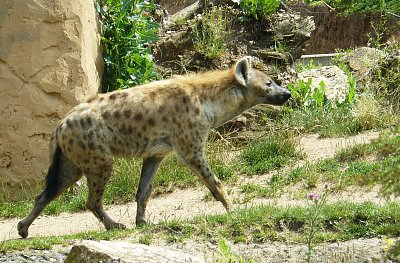 p1360384-a.jpg