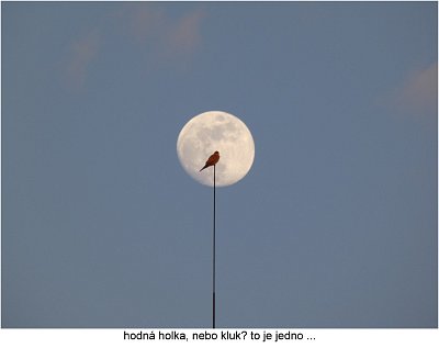 p1420674-prvni-postolka-na-mesici.jpg