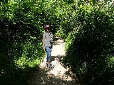 p1440245-1--1.jpg