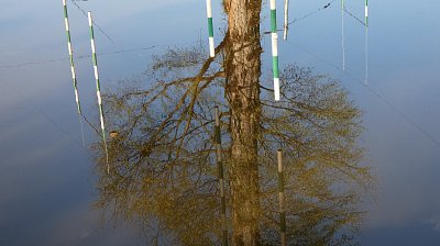 p1500051-zrcadleni-strom-v-kanale.jpg
