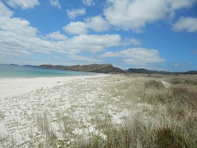 Coromandel 2018