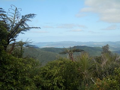 Coromandel 2018