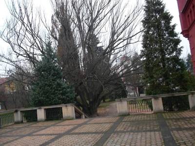 park-1.jpg