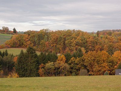 pb017958.jpg