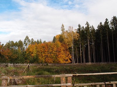 pb017985.jpg