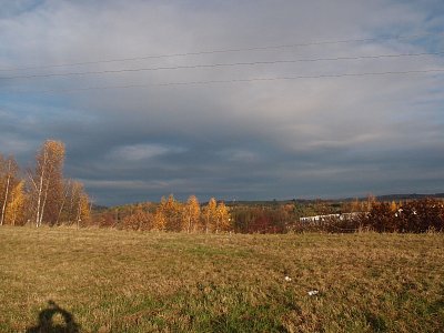 pb238004-1.jpg