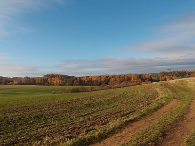 pb238007-1.jpg