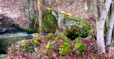 Příroda o Velikonocích