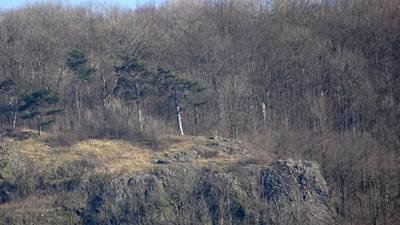 rip-na-roudnicke-vyhlidce-nikdo-neni.jpg