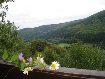 Pod Javorovým, Beskydy