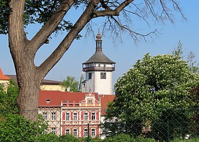 roudnicka-hlaska-a-kvetouci-kastany.jpg
