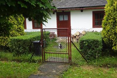 roznovska-cica.jpg