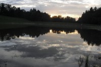 rybník
