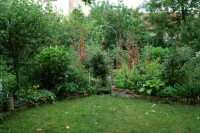 S podzimem přichází nejlepší
čas na sázení dřevin