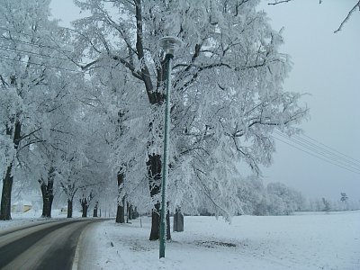 Takové cesty jsou pro mne skutečně tou nejpůvabnější a nejkouzelnější pohádkou - tím nejkrásnějším dárkem, který nám občas spadá úplně zdarma z nebe