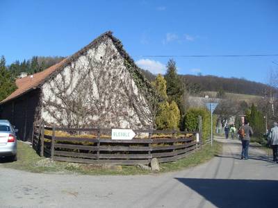 sdc10141.jpg