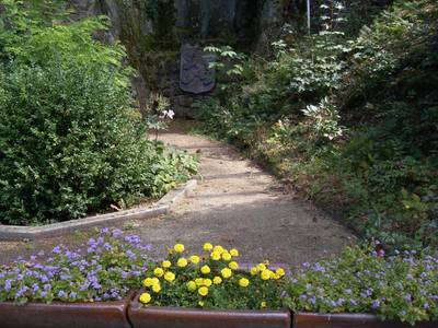 sdc10182.jpg