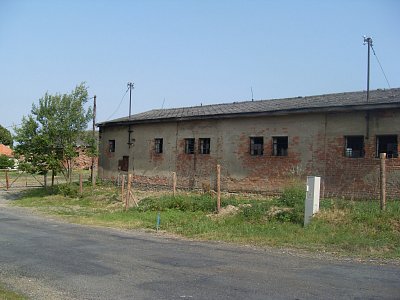 sdc10536.jpg