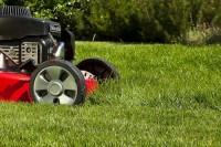 První jarní kroky pro krásný trávník