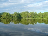 Školní rybník
