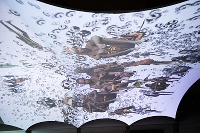 slapetova-rittstein-venice-10.jpg