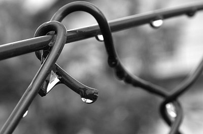 Infuze, skleróza a jiné úsměvy