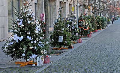 Stromečkovou ulicí dojdeš až k Vánocům ...