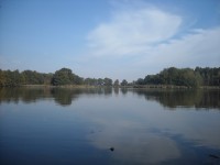 Markovec od mohyly