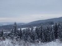 Šumavské kopečky