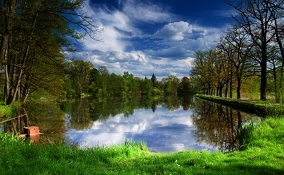 Trebon titul