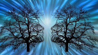 trees-6361892-340-1.jpg