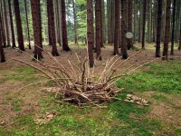 Umělecké projekty - Land Art