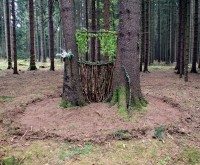 Umělecké projekty - Land Art