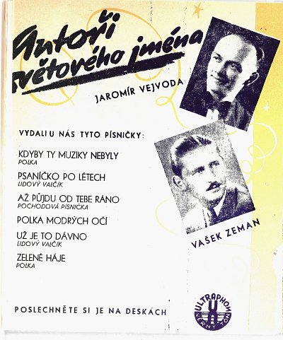 vejvoda-1.jpg