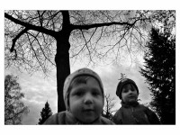 Veská 13