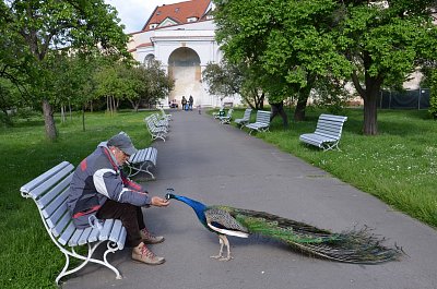 vojanovy-sady-010.jpg