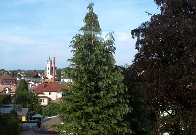 vyhled-z-horniho-bytu.jpg
