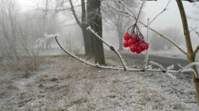 Vzpomínka na zimu