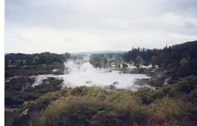 Whakarewarewa Thermal Reserve - celkový pohled