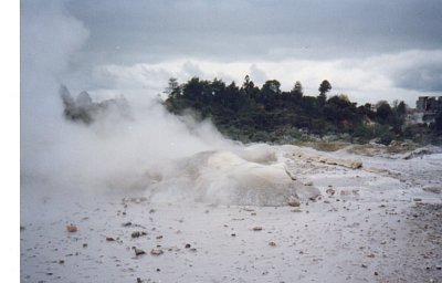 Whakarewarewa Thermal Reserve - dřímající gejzír