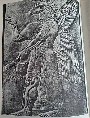 z-mych-knih-i.jpg